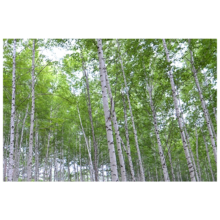 ㅇㄷㄹㅈㅈㄴㅁㅅ 이미지